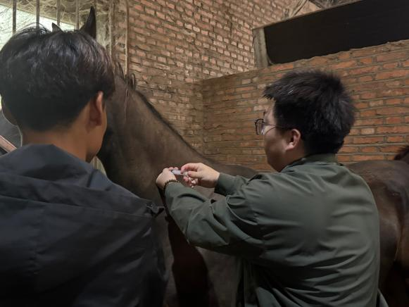 百家乐真人视讯