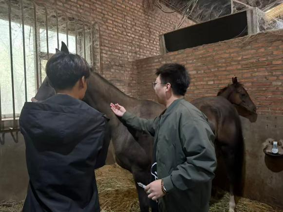 百家乐真人视讯